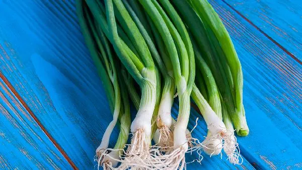 男性吃大葱的坏处是什么插图1