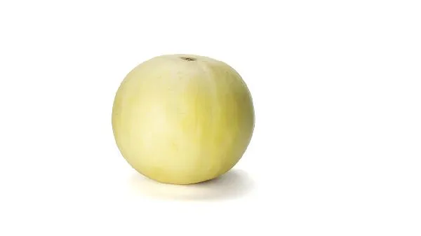 脂肪和蛋白质高的食物有哪些插图