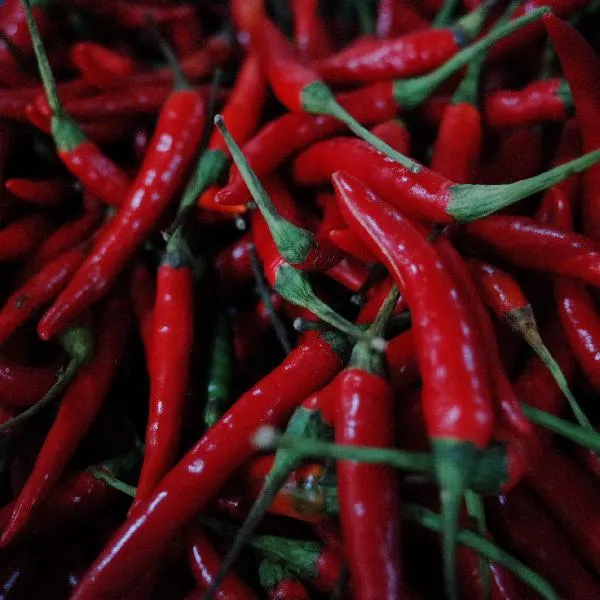 辣椒放的时间越长越辣吗插图1