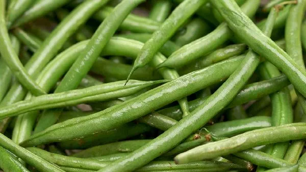豆角卖不完怎么保存新鲜的呢插图1