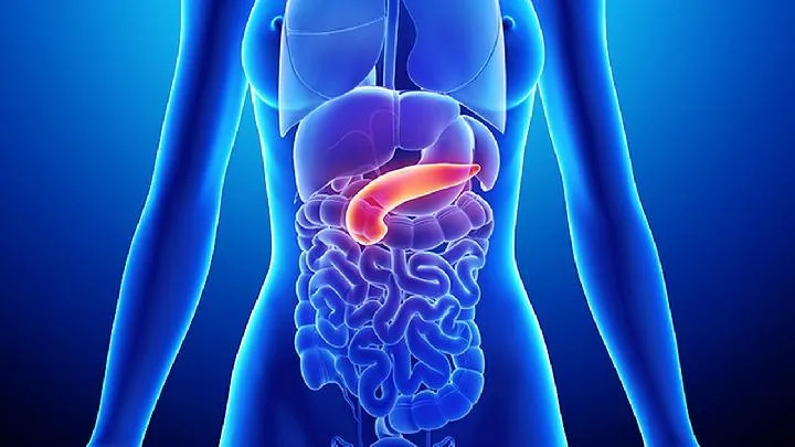 龙胆泻肝丸的功效、主治插图1