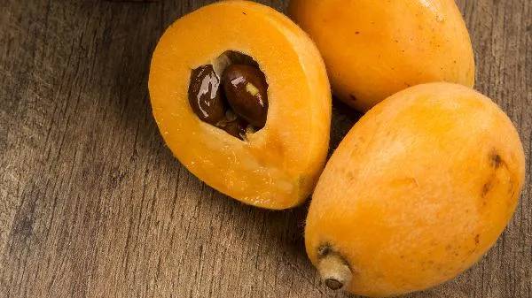 凉薯是碱性还是酸性食物插图1