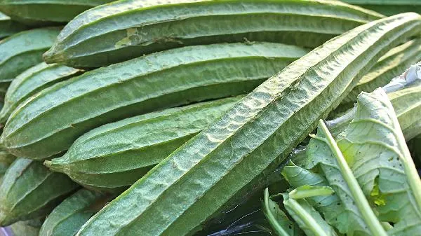 丝瓜焯水后变黑了怎么回事插图1