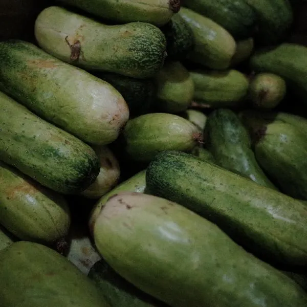 黄瓜跟什么榨汁最好插图2