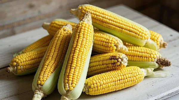 甜玉米粒煮多久就熟了插图1