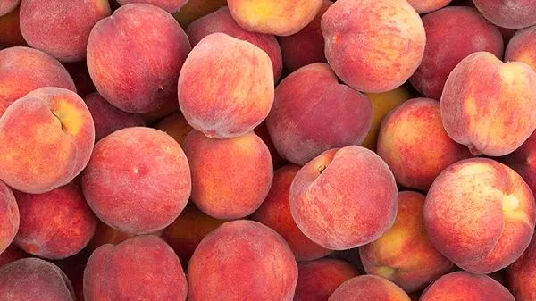 桃子会过敏吗 桃子过敏怎么处理插图