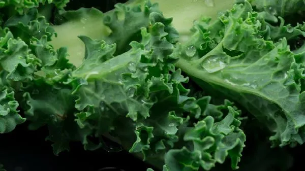 蔬菜农药残留怎么清洗插图