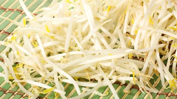 豆芽的芽是根还是茎插图1