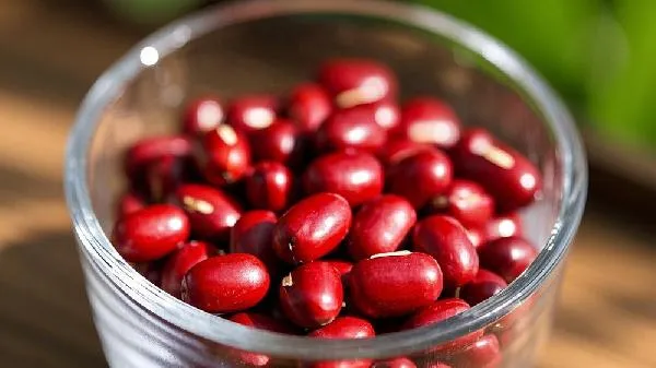 不泡红豆煮多久才会熟插图2