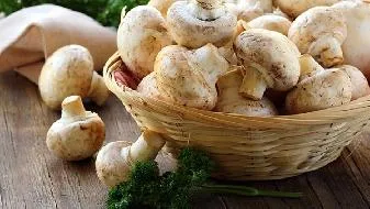 饮食营养与健康饮食 揭露到底是吃米好还是吃面好插图