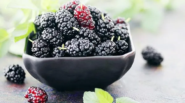 桑葚和菊花能一起泡水喝吗 桑葚开水泡还是温水泡插图