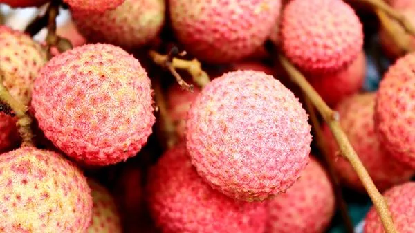 荔枝蜜不适合什么人喝插图1