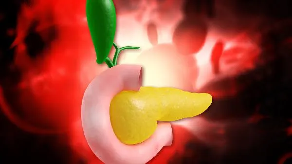 鱼的内脏不能吃吗插图