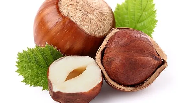 水果运输适合什么运输方式插图