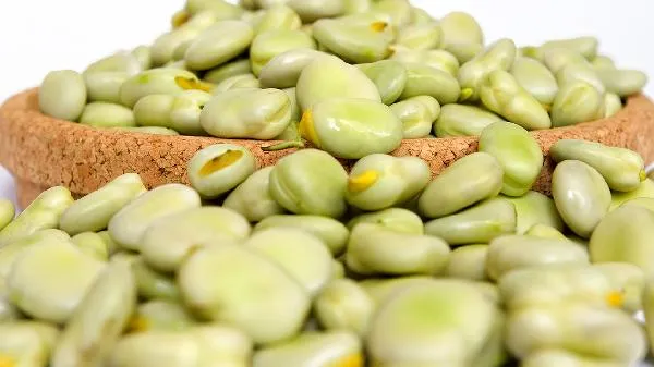 蚕豆和兰花豆的区别 蚕豆和兰花豆哪个好吃插图