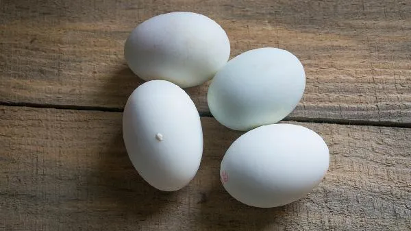 一天蛋白质一天碳水可以瘦吗插图