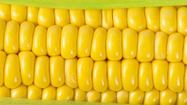 玉米煮完冷了就瘪怎么办插图2