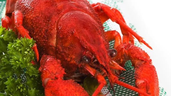 龙虾冷藏6天还能吃吗插图