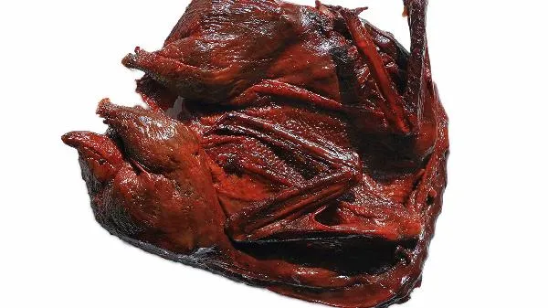 肉吃多了会大便不成形吗插图