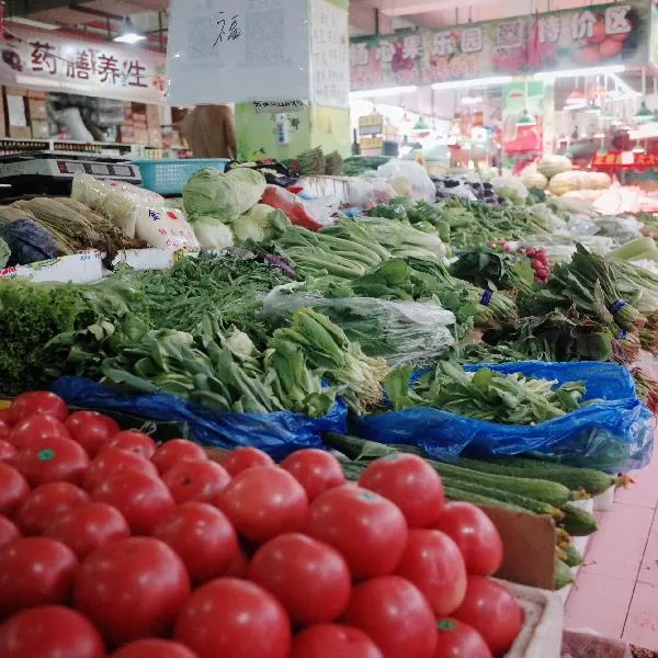 西红柿怎么保存时间长一点插图2