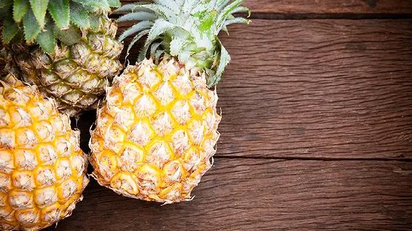 警惕！食用黄菠萝树芽会中毒吗？插图1