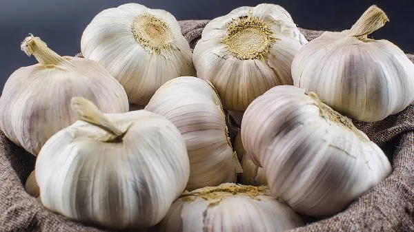 黑蒜怎样吃效果更好插图2