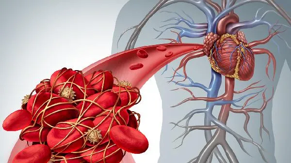 辅酶q10护心素有哪些功效 亲测有3大真实好处插图