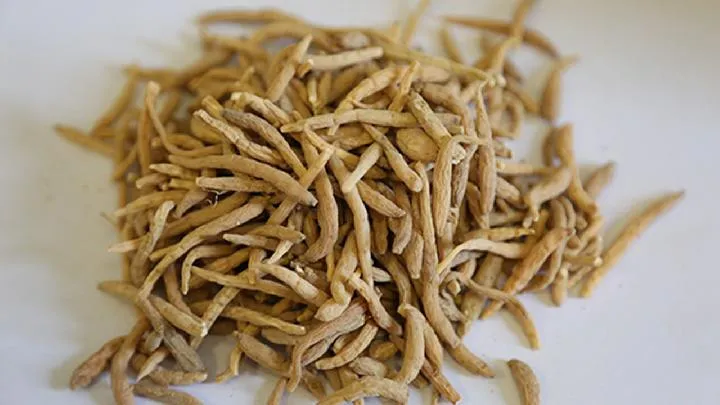 补血最快的方法和食物插图