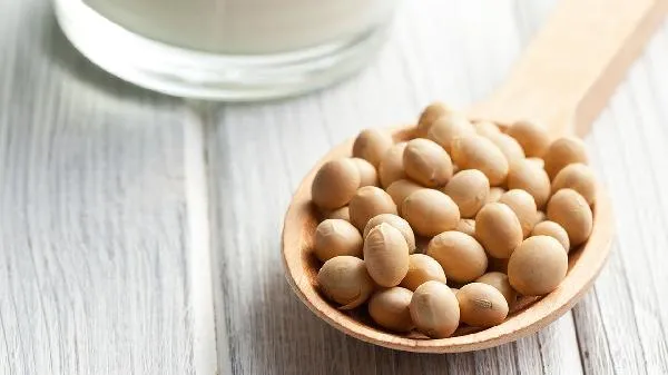 青大豆与黄大豆哪个好插图