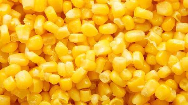 玉米怎么追肥效果最好插图