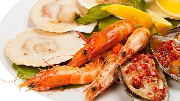 马肉治什么病最好插图1