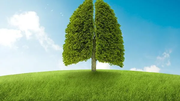 野生树莓可以吃吗插图