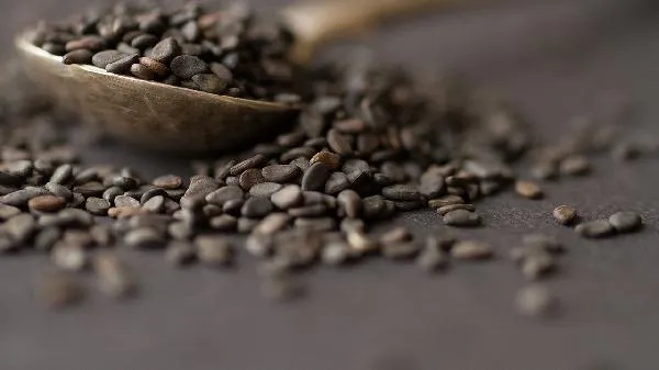 黑芝麻生吃和熟吃哪个效果好插图2