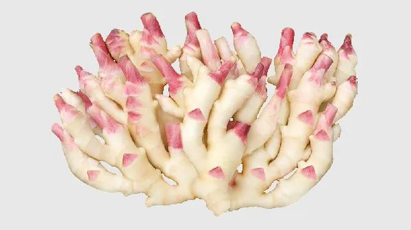 鲜姜的储存方法家庭插图