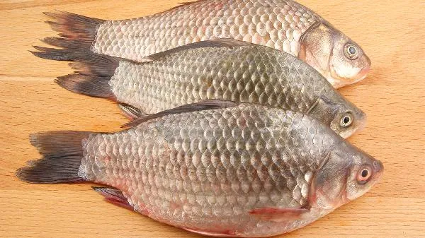 鲫鱼汤怎么做好吃又简单插图2