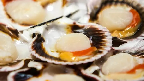 胆固醇高可以吃瑶柱吗插图