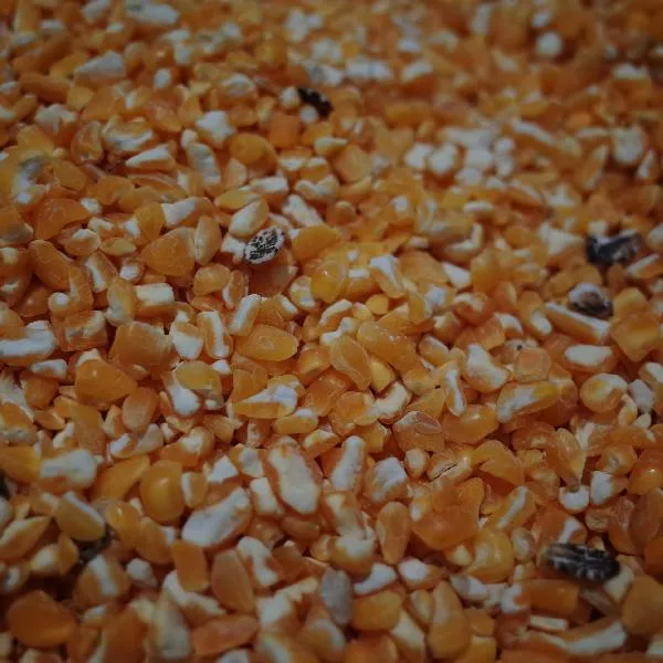 经常吃粗粮会瘦吗插图2