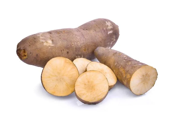 雪莲果的功效和作用插图