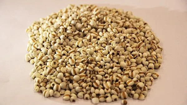 花胶可以和薏米炖吗 花胶炖薏米什么功效插图1