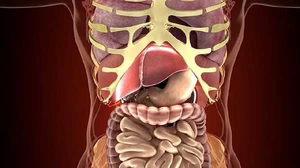 腊肠蒸几分钟能熟插图1