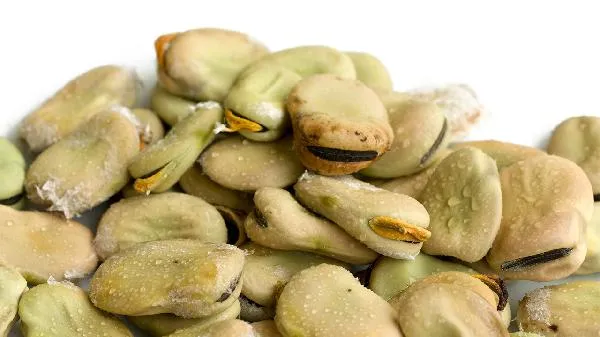 蚕豆是什么 哪些人不能吃插图1