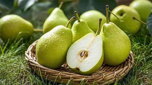 香梨的皮可以吃吗插图1