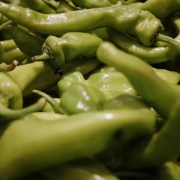 芥兰菜开花的三个征兆插图2