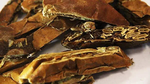 瓜蒌的正确晒干方法插图1