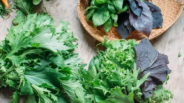 青菜有农药怎么清洗插图1