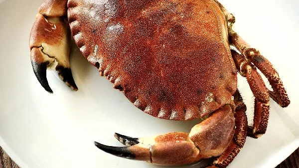 螃蟹对女人有什么好处插图2