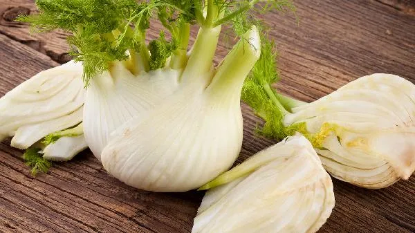 茴香什么季节吃最好插图