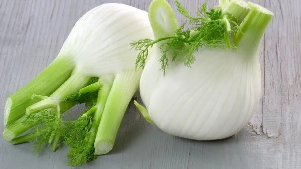 茴香什么季节吃最好插图1