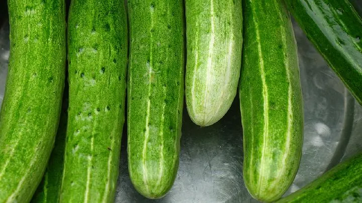 黄瓜炒瘦肉——补虚强身美容养颜排毒插图