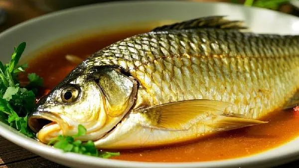 鲤鱼好吃还是草鱼好吃插图1